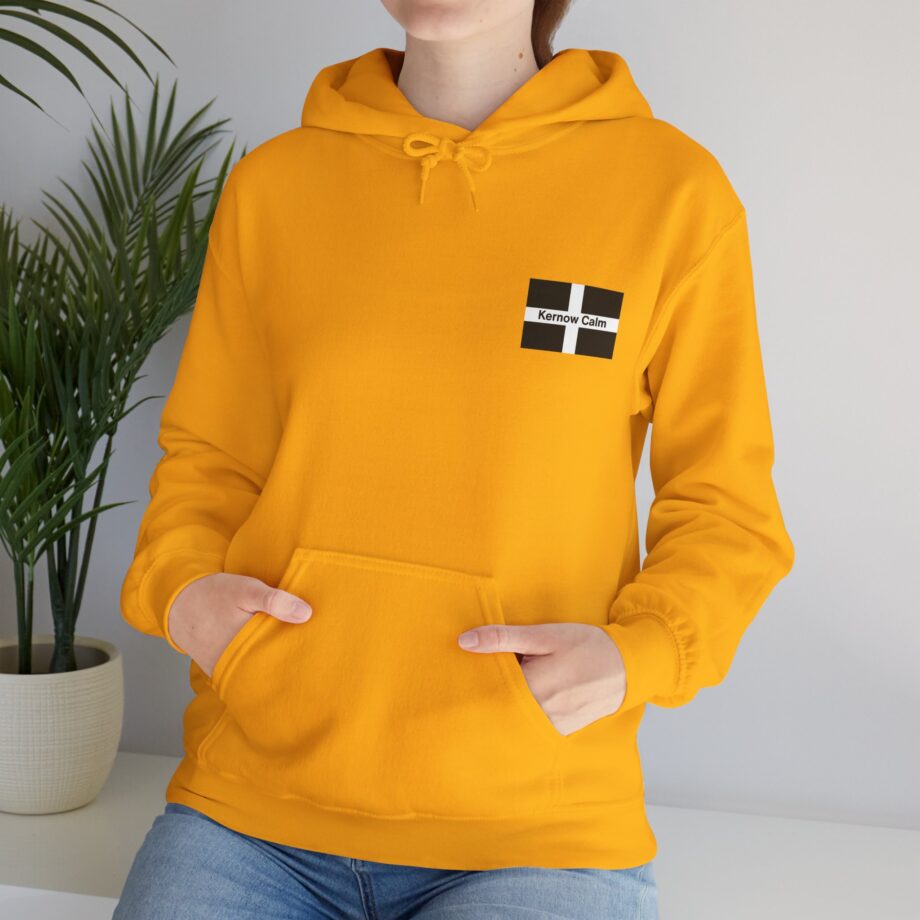 Kernow Calm St. Piran Flag Hoodie