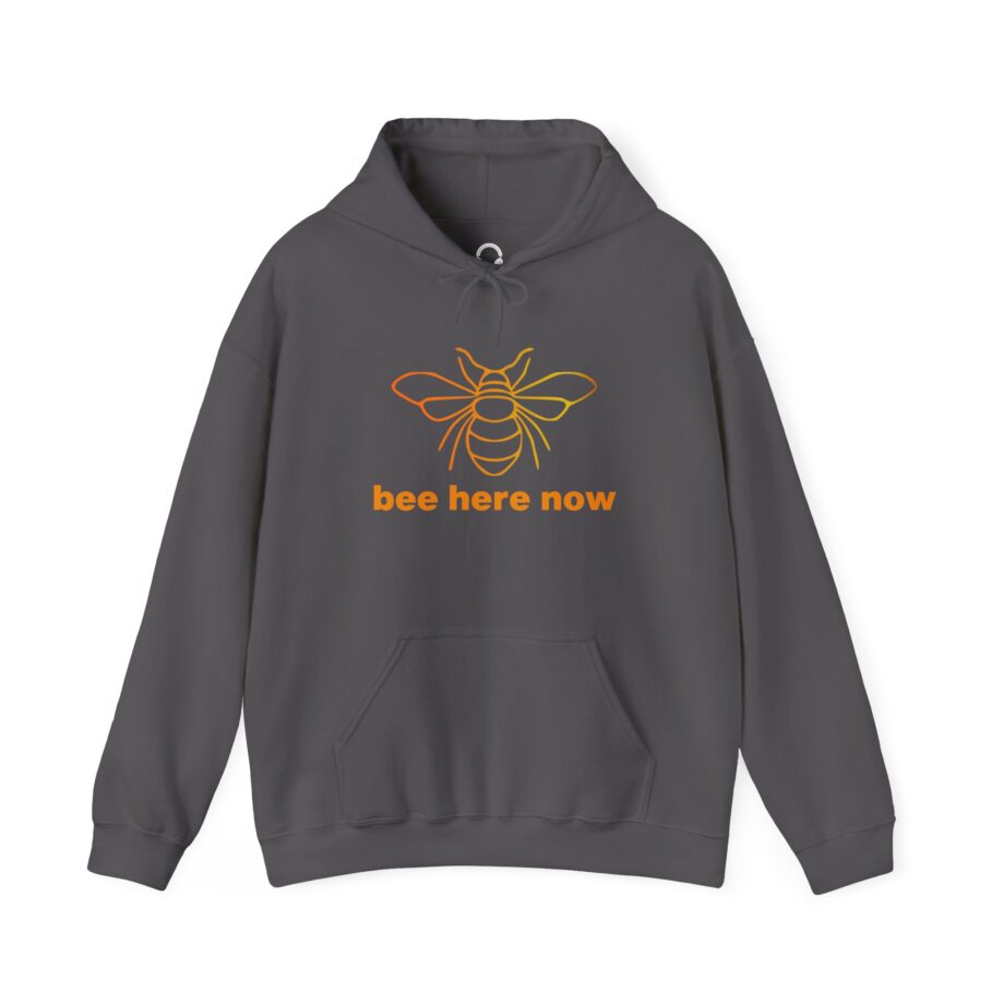 Bee Here Now Hoodie